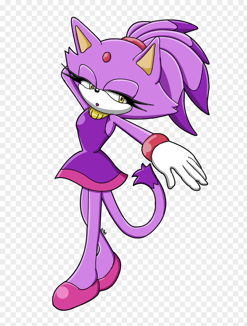 Blaze Sonic The Hedgehog Cat Rouge Bat Amy Rose PNG