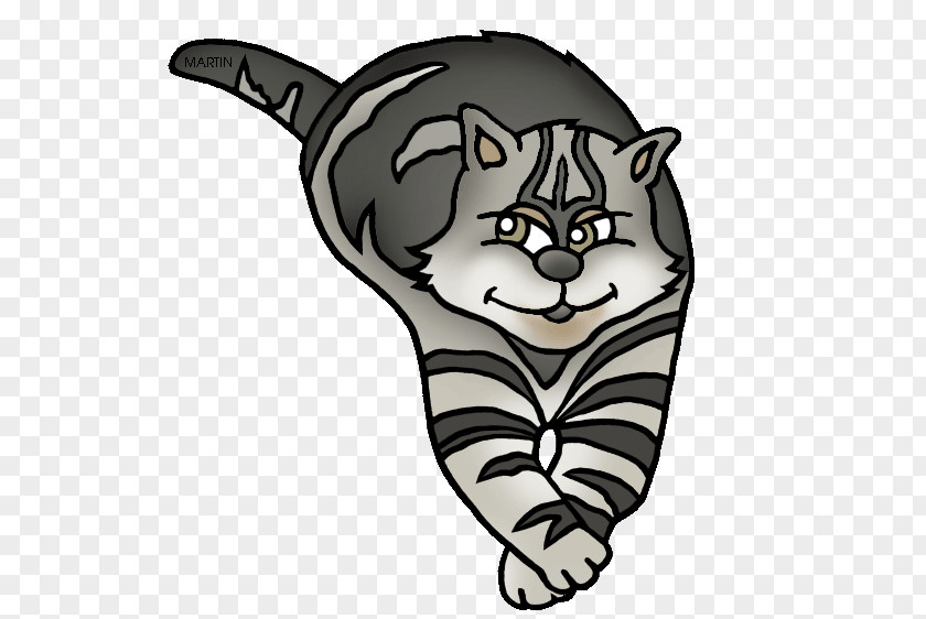 Cat Whiskers Tiger Massachusetts Clip Art PNG