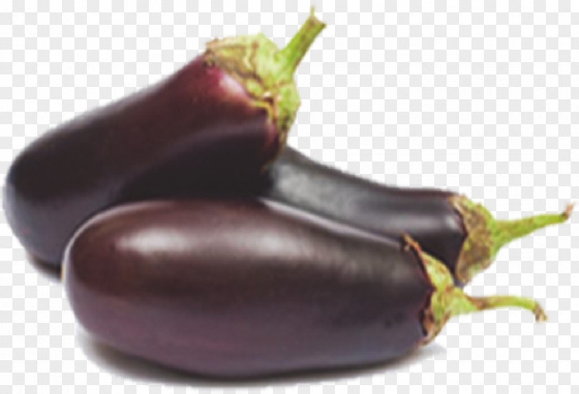 Eggplant Ratatouille Vegetable Food Tomato PNG