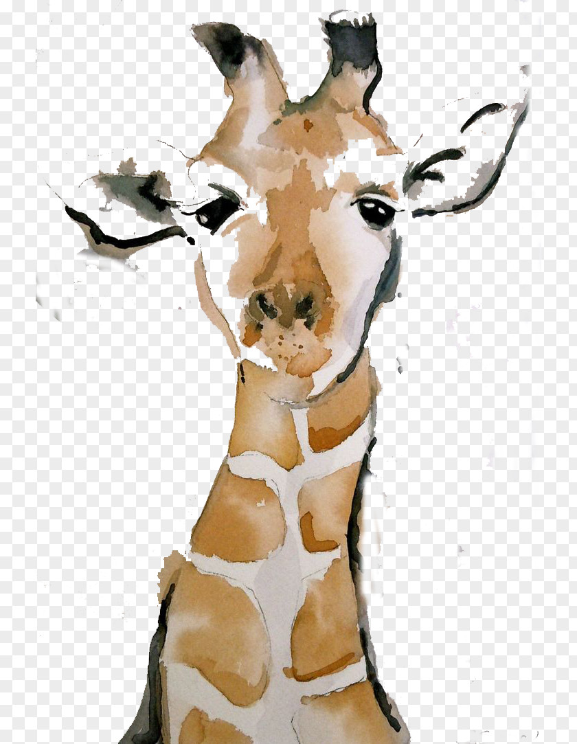 Giraffe Painting Watercolor Drawing Chinese PNG