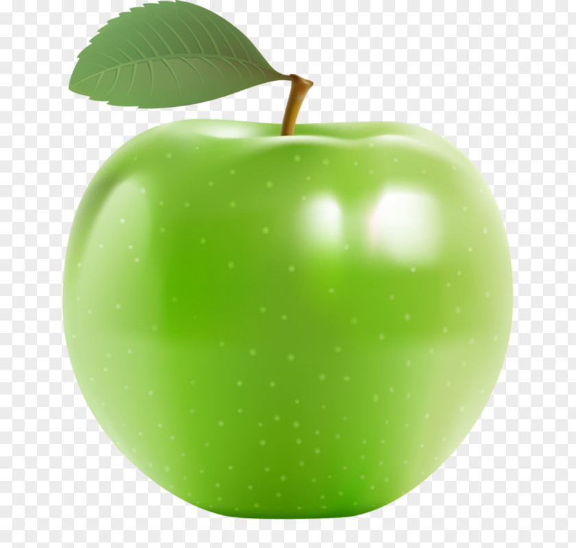 Green Delicious Apples Apple Illustration PNG