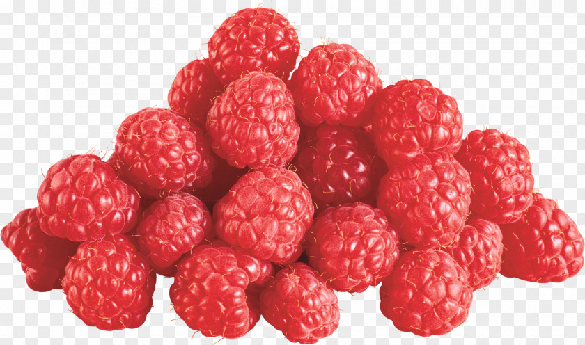 Raspberry Tayberry Red Loganberry PNG