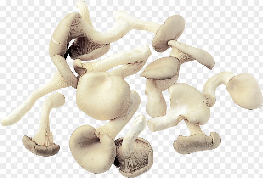 Bone Animal Figure Mushroom Cartoon PNG