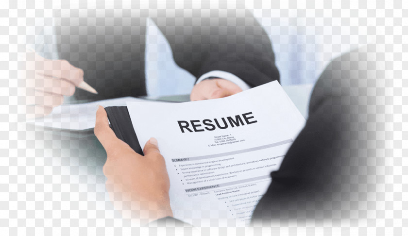 Federal Resume Résumé Job Interview Curriculum Vitae Hunting PNG