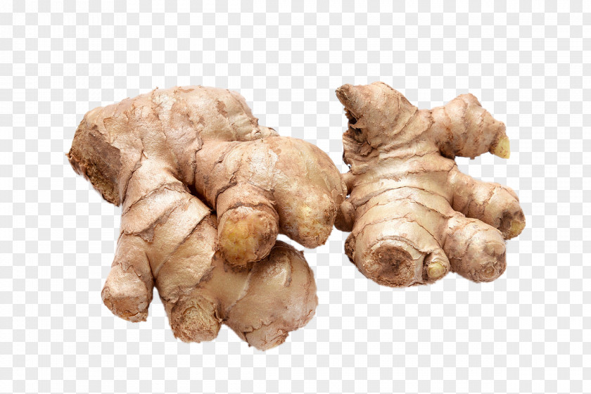 Ginger Ingredients Galangal Condiment Ingredient Vegetable PNG