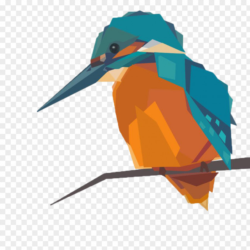 Kingfisher Art Common Clip PNG