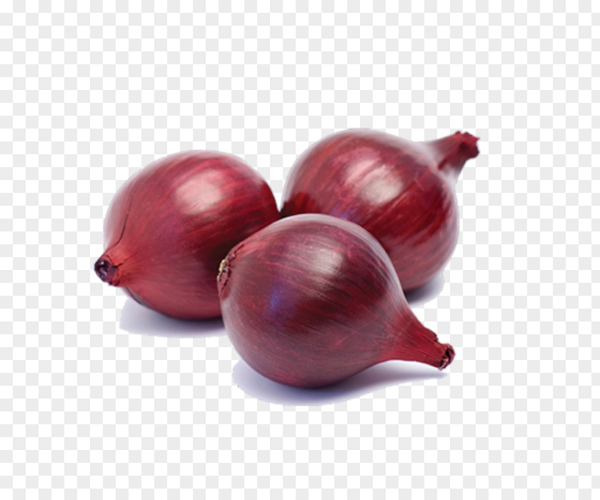Vegetable Red Onion White Yellow PNG