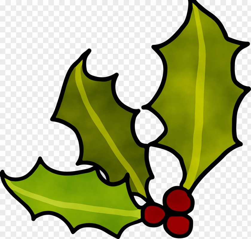 American Holly Plane PNG