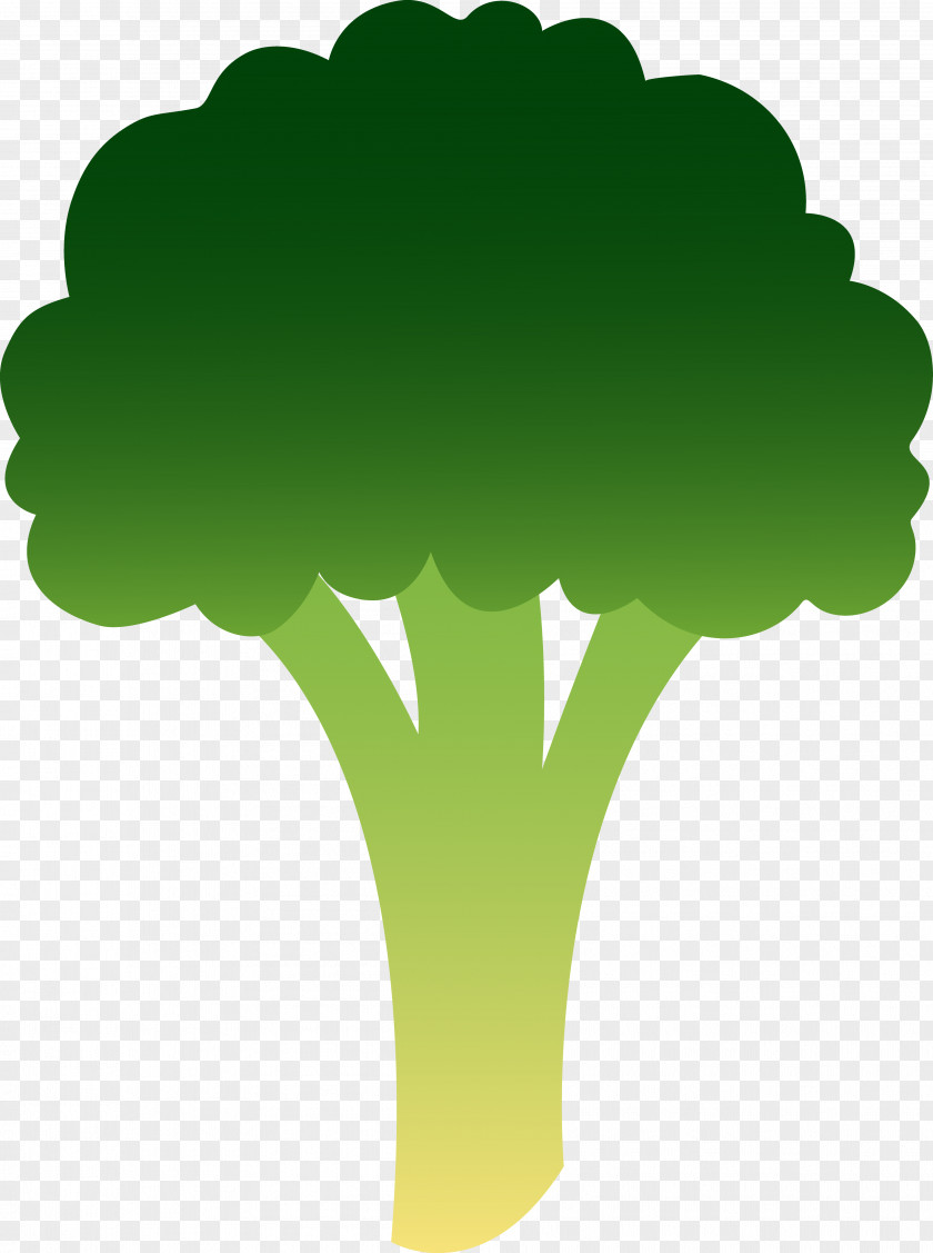 Broccoli Cabbage Leaf Vegetable Clip Art PNG