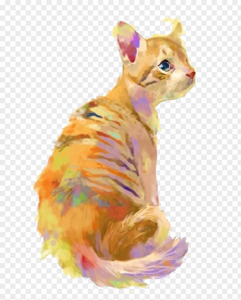 Painted Cats Cat Color Illustration PNG