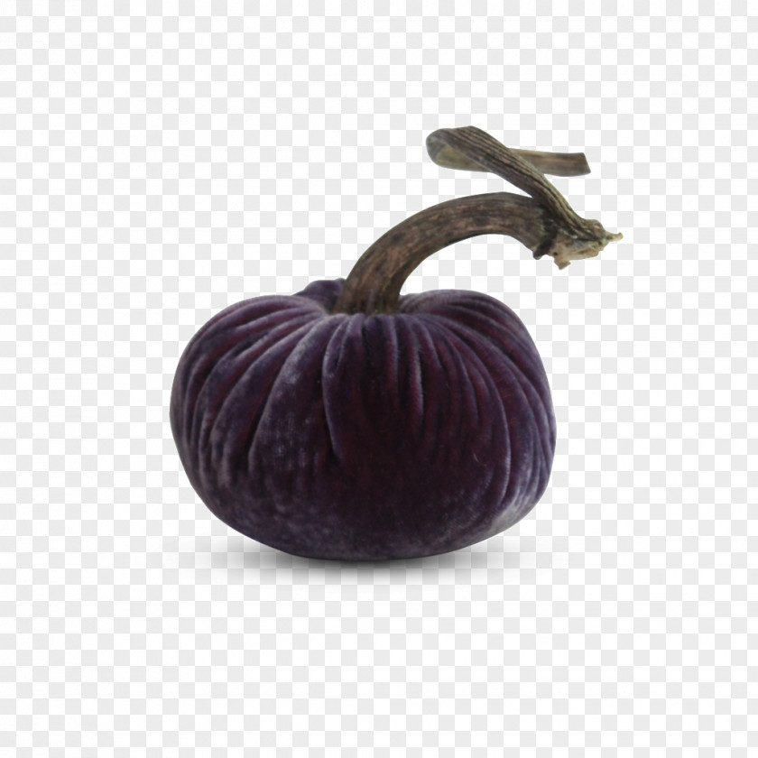 Prince Raspberry Beret Purple Rain Drama Pumpkin Velvet PNG