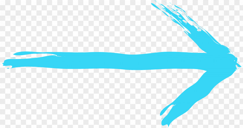 Turquoise Aqua Teal Line Hand PNG