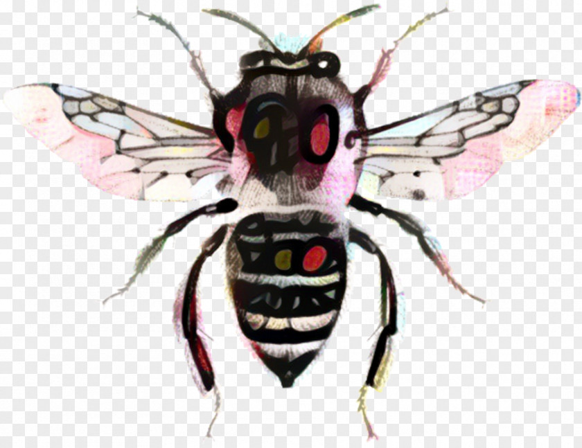 Wing Wasp Cartoon Bee PNG