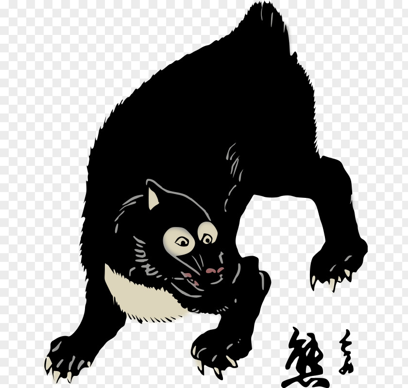 Black Raccoon Pictures American Bear Giant Panda Brown PNG