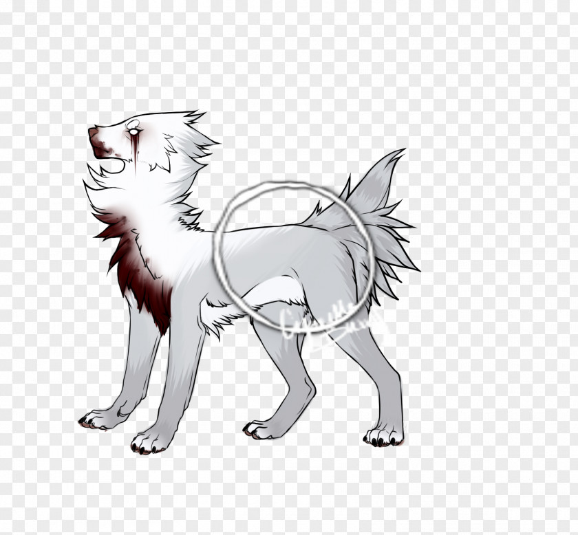 Cat Lion Dog Drawing Line Art PNG