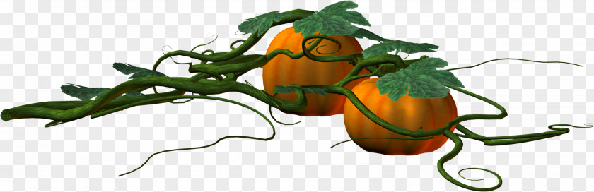 Creative Pumpkin Leaves Orange Leaf PNG