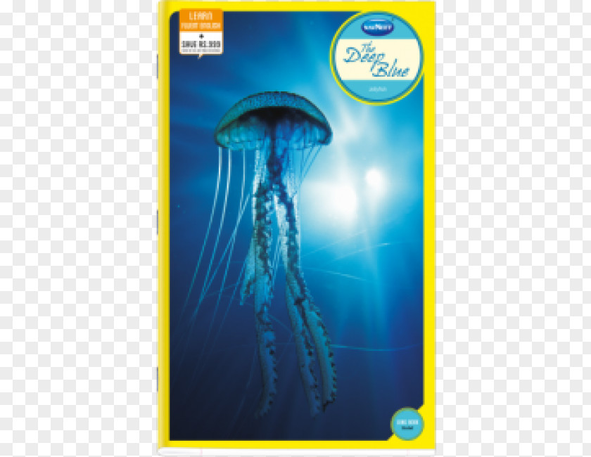 Nostalgia Paper Immortal Jellyfish Box Polyp Planula Animal PNG