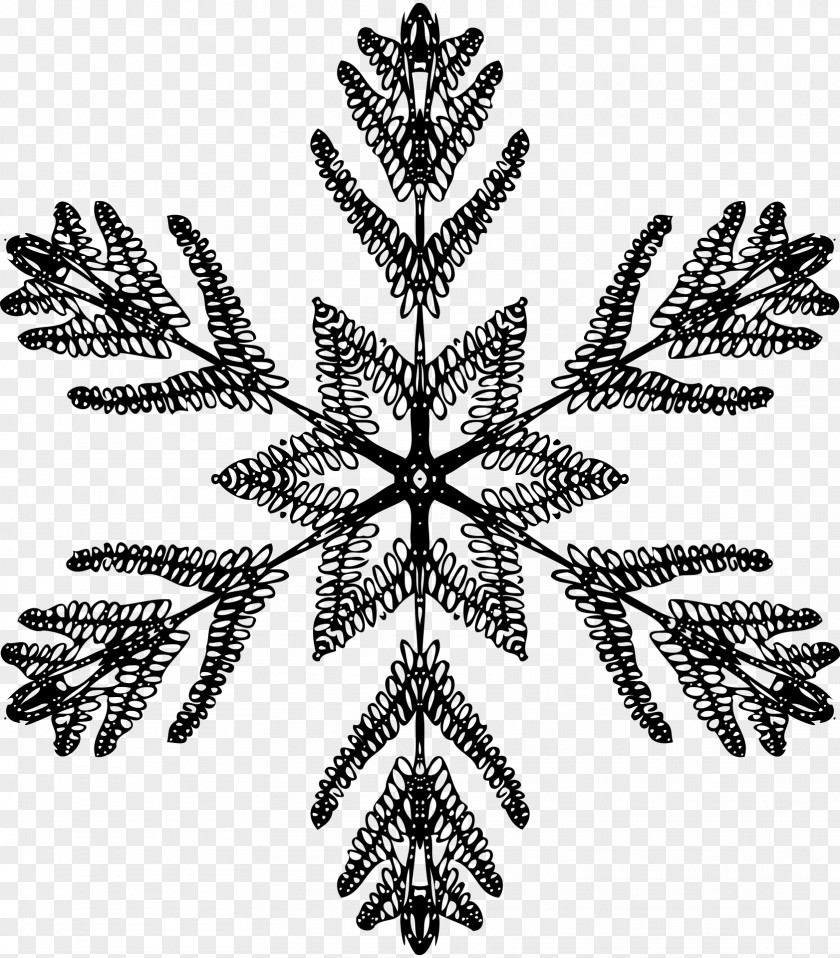 Snowflake Black And White Symmetry PNG