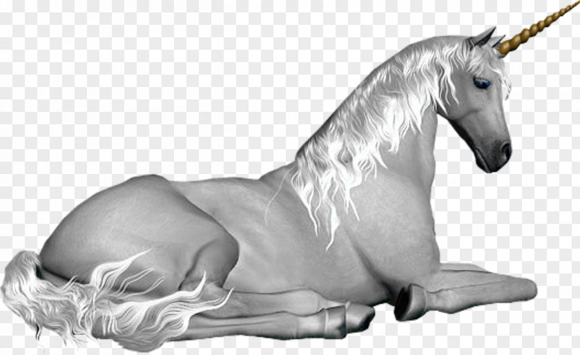 Unicorn Mythology Fairy Pegasus Legendary Creature PNG
