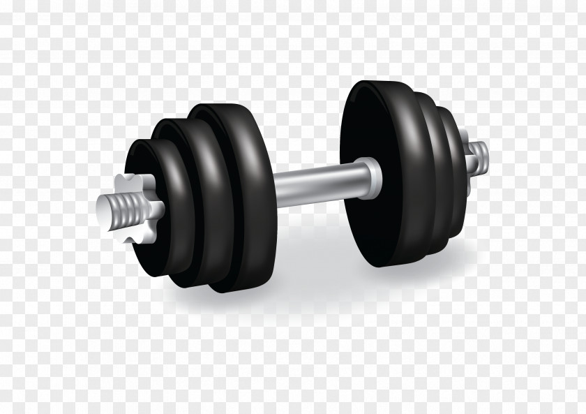 Barbell Exercise Equipment Sporting Goods PNG