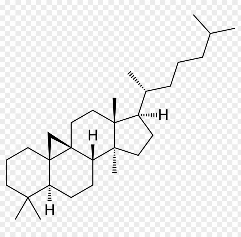 Cholesterol Cycloastragenol Hopane Chemical Compound Science Molecule PNG