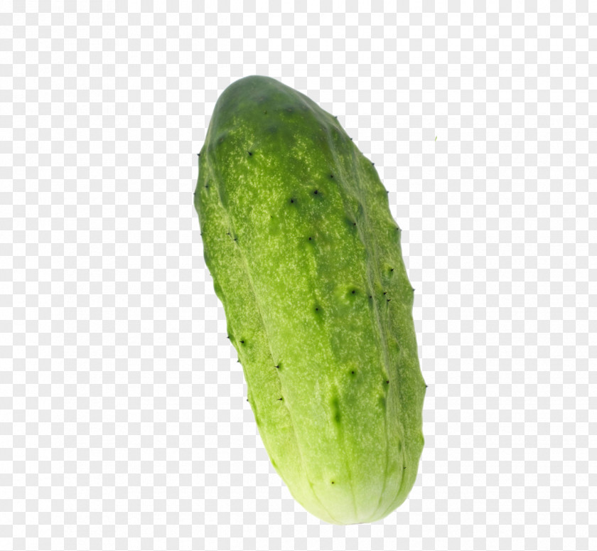 Cucumber Vegetable PNG