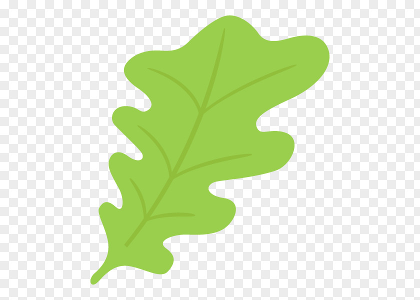 Leaf Plant Stem Tree Flowering Plants PNG