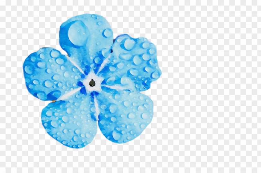 Petal Turquoise PNG