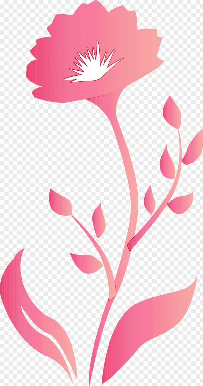 Pink Pedicel Plant Flower Stem PNG