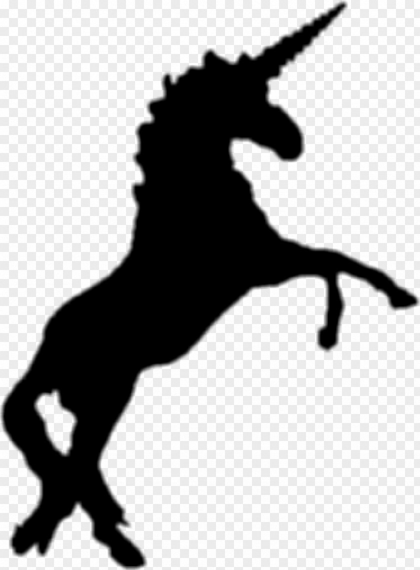 Unicorn Mule Pony Horse Data PNG