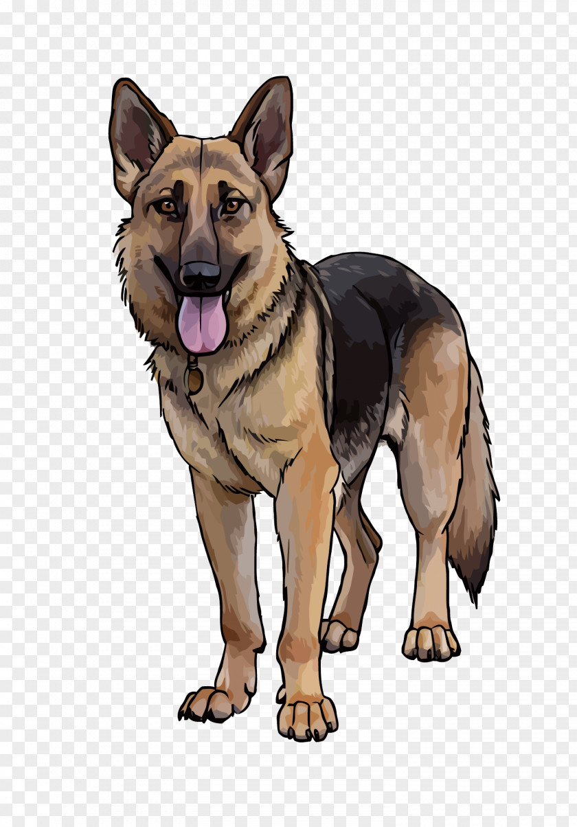 Vector Wolf Dog Old German Shepherd King Kunming Wolfdog PNG