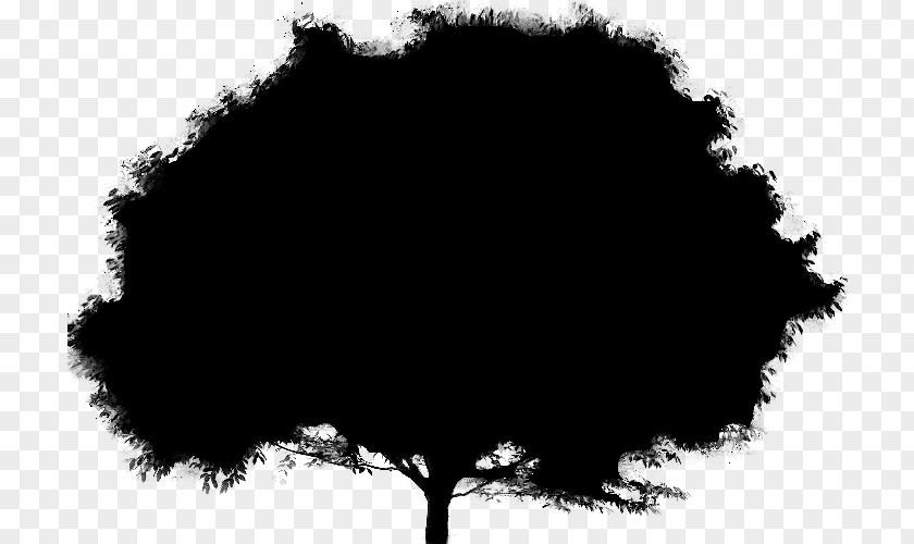 M Silhouette Leaf Sky Tree Black & White PNG