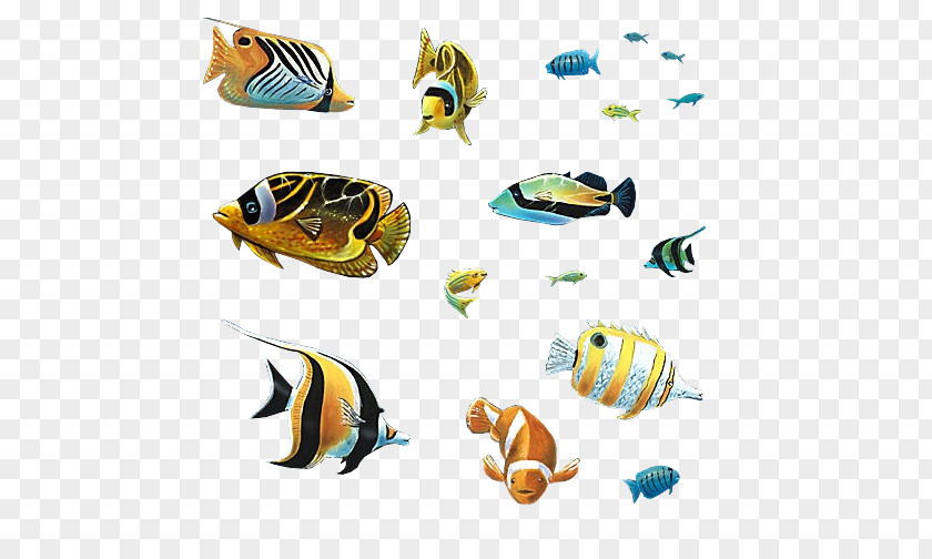 Nine Fish Goldfish Ornamental Animal Aquarium PNG
