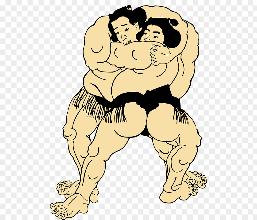 Sumo PNG clipart PNG