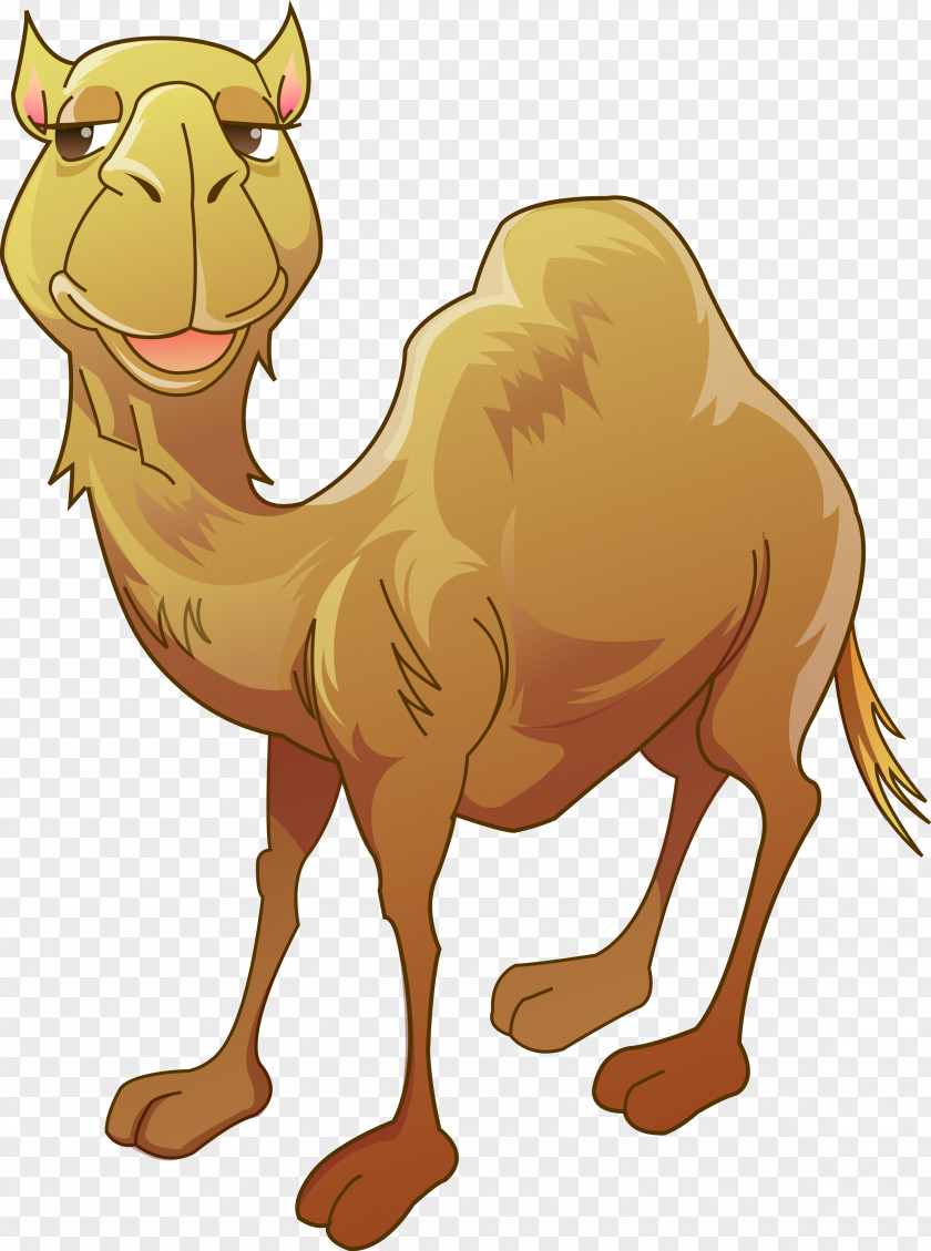Vector Camel Bactrian Humour Clip Art PNG
