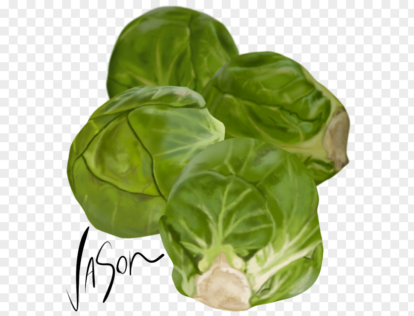 Brussels Sprouts Sprout Collard Greens Capitata Group Spring Vegetarian Cuisine PNG
