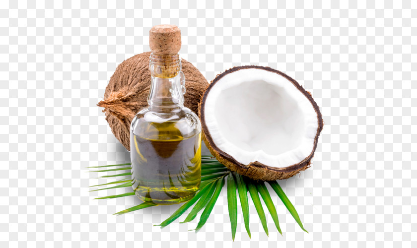 Coconut Oil Honey Ingredient PNG