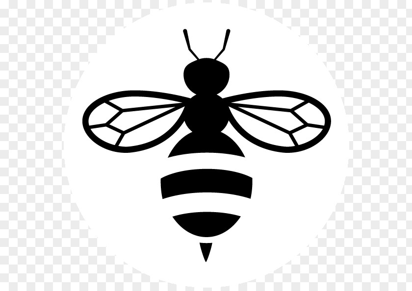 European Dark Bee Clip Art PNG