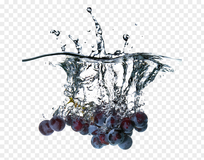 Grape Water Wine Seed Extract Stock Photography Fruit PNG