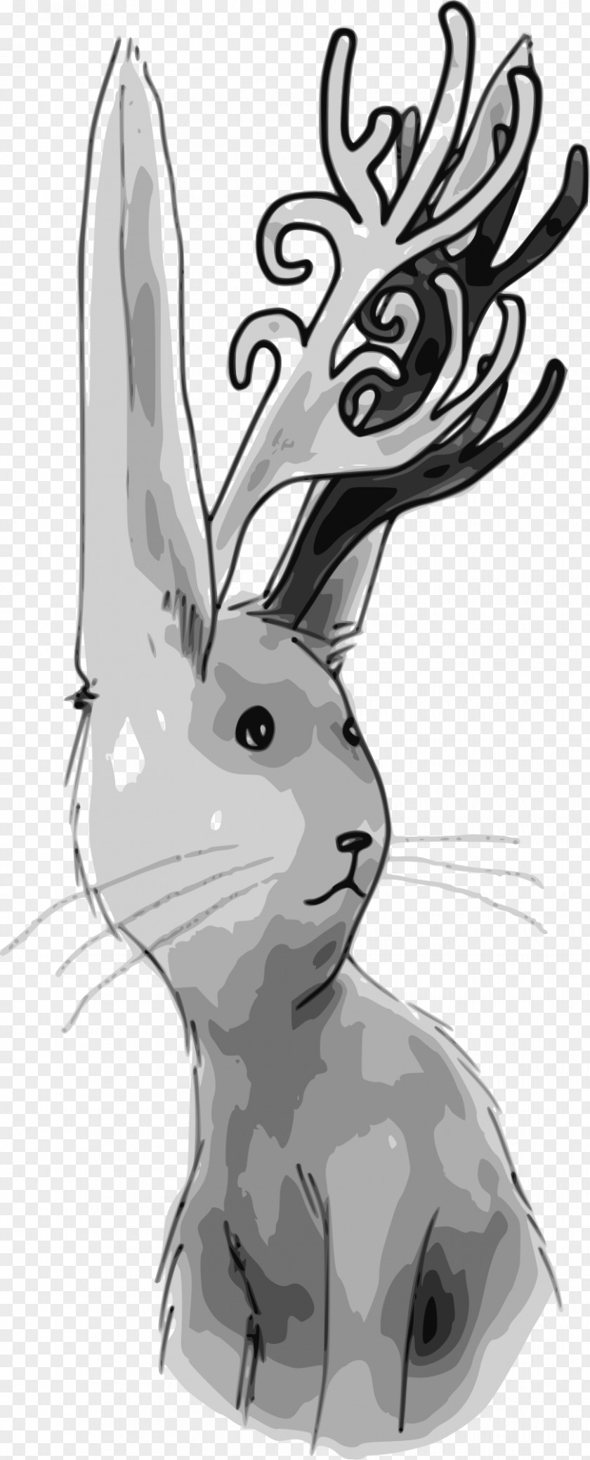 White Deer Rabbit Line Art Clip PNG