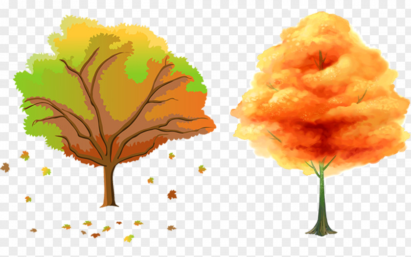 Autumn Trees Material Tree Season Clip Art PNG