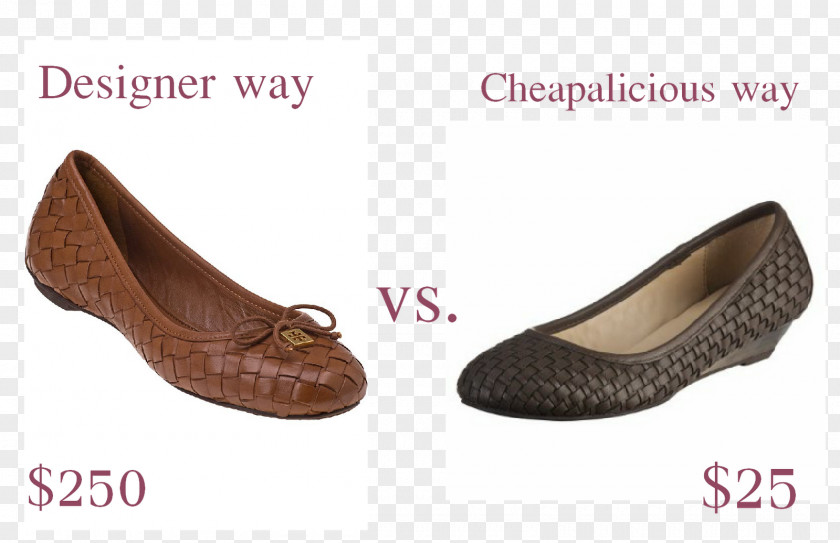 Ballet Flat Shoe Brand PNG