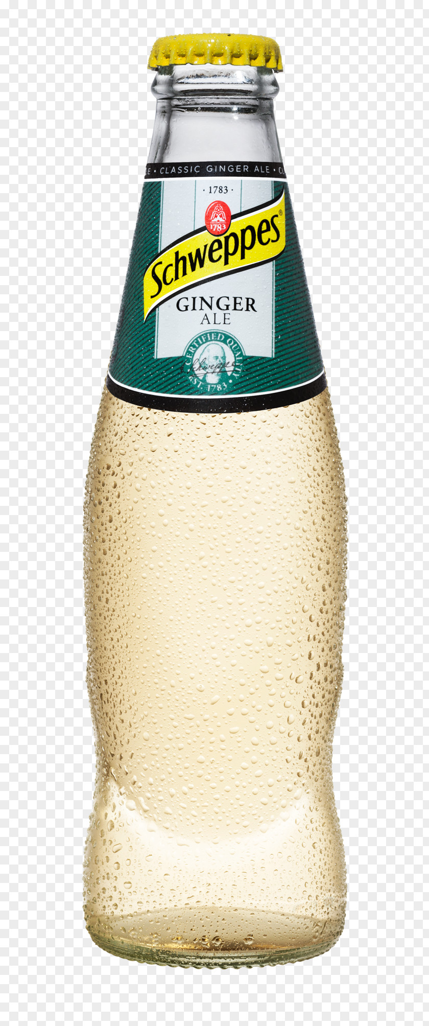 Cocktail Ginger Ale Fizzy Drinks Tonic Water Beer PNG