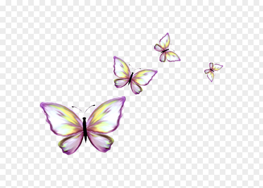 Floating Butterfly Monarch Clip Art PNG