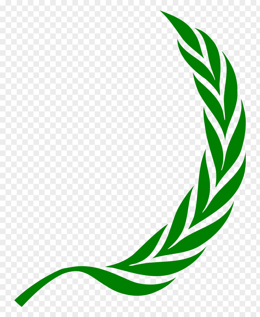 Laurel Wreath Bay Clip Art PNG