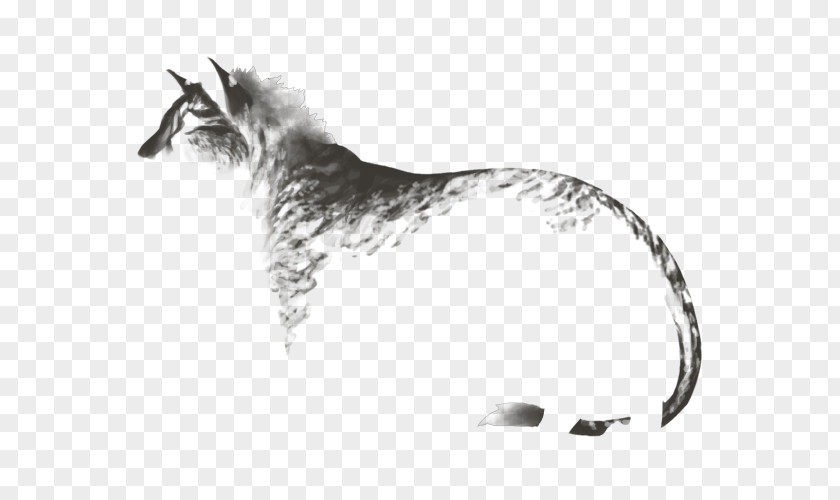 Lion Dance Felidae Cat Maltese Dog Whiskers PNG