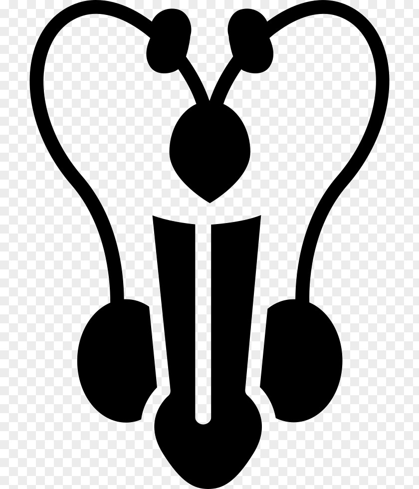 Male Reproductive System Clip Art PNG