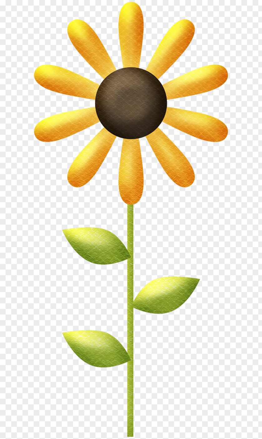 Sunflower Common Clip Art PNG