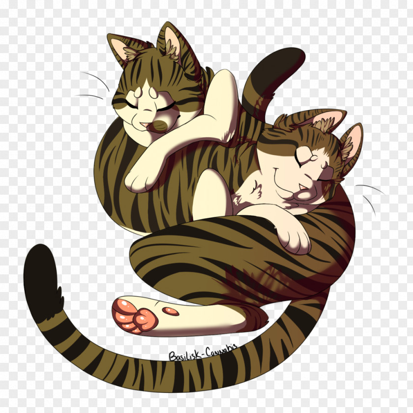 Cat Whiskers Tabby Illustration Clip Art PNG