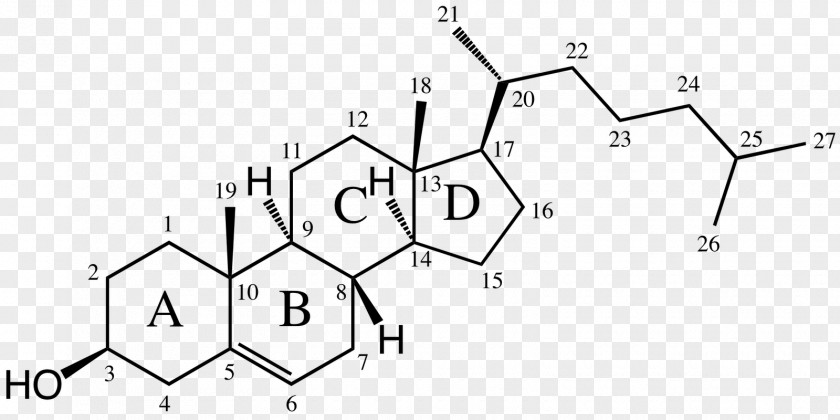 Cholestrol Cholesterol Alkene Dimethylallyl Pyrophosphate Dehydroepiandrosterone PNG